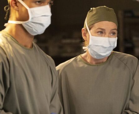 Should You Stream or Skip Grey’s Anatomy Season 19 on Netflix?